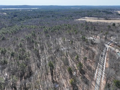 Set in a peaceful rural setting, this 1.6-acre wooded parcel - photo 7