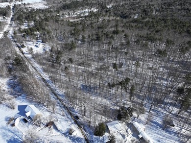 Set in a peaceful rural setting, this 1.6-acre wooded parcel - photo 10