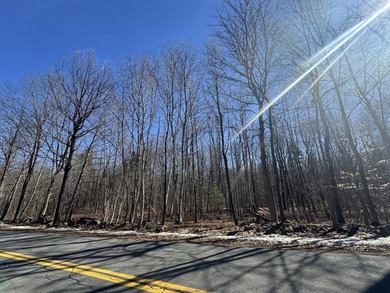 Set in a peaceful rural setting, this 1.6-acre wooded parcel - photo 3