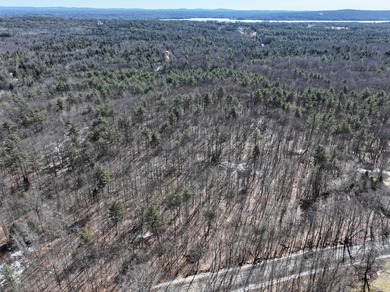 Set in a peaceful rural setting, this 1.6-acre wooded parcel - photo 9