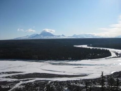 Lake Lot For Sale in Copper Center, Alaska
