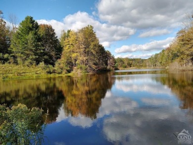 (private lake, pond, creek) Home For Sale in Medusa New York