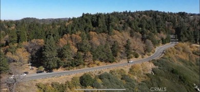 Lake Arrowhead Acreage For Sale in Rimforest California