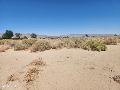 Lake Lahontan Acreage For Sale in Silver Springs Nevada