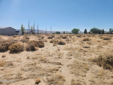 Vacant Land with neighbors. About a 1/2 hour to Fernley and - photo 3