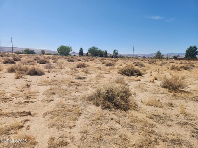 Vacant Land with neighbors. About a 1/2 hour to Fernley and - photo 4