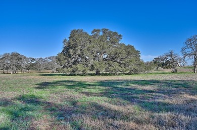 Located in Colorado County, centrally positioned between Houston - photo 4