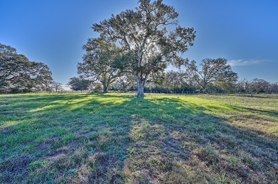 Located in Colorado County, centrally positioned between Houston - photo 6