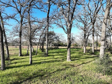 Located in Colorado County, centrally positioned between Houston - photo 10