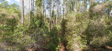 Lake Lot For Sale in Georgetown, Florida