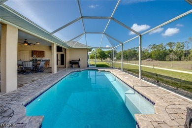 Places like this are disappearing fast in SWFL. Your private - photo 34