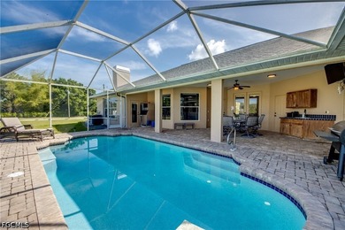 Places like this are disappearing fast in SWFL. Your private - photo 37