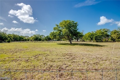 Places like this are disappearing fast in SWFL. Your private - photo 38