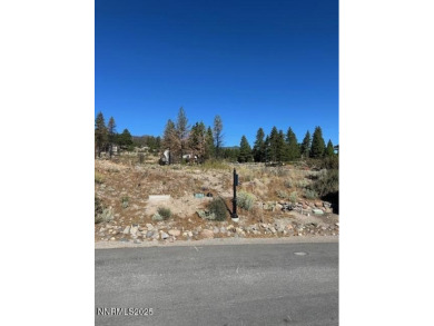 Washoe Lake Lot For Sale in Reno Nevada