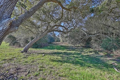 Located in Colorado County, centrally positioned between Houston - photo 2