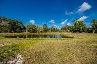 Places like this are disappearing fast in SWFL. Your private - photo 44