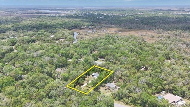 Welcome to the Heart of Old Homosassa - 11065 W Townsend Lane - photo 2