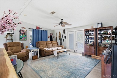 Welcome to the Heart of Old Homosassa - 11065 W Townsend Lane - photo 7