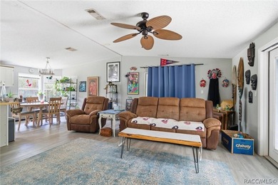 Welcome to the Heart of Old Homosassa - 11065 W Townsend Lane - photo 8