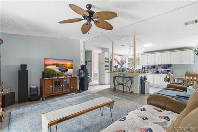 Welcome to the Heart of Old Homosassa - 11065 W Townsend Lane - photo 9