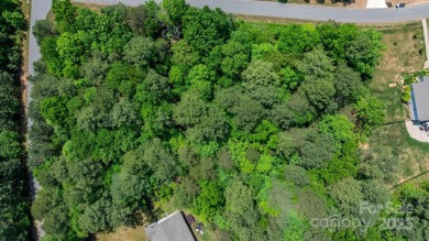 Lake Lot For Sale in Catawba, North Carolina