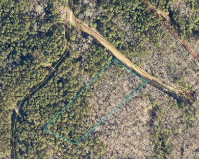 Stunning 3.44 Acre lot @ Lake Russell - Lake Lot For Sale in Elberton, Georgia