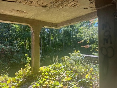 This property lies amongst mature trees with beautiful views of - photo 9