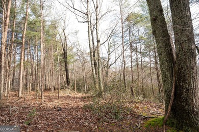 The Basin Lake Lot For Sale in Jasper Georgia