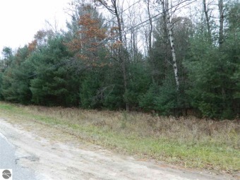 Forest Lake - Arenac County Lot For Sale in Alger Michigan