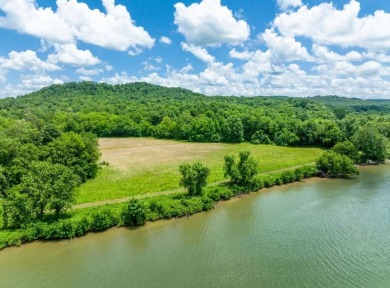 Tennessee River - Decatur County Lot For Sale in Linden Tennessee