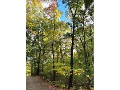 Lake Michigan - Ottawa County Lot For Sale in West Olive Michigan