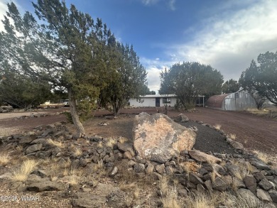 Lake Home For Sale in Show Low, Arizona