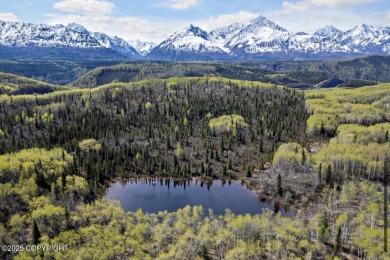 Lake Acreage For Sale in Chickaloon, Alaska