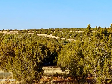 Lake Lot Sale Pending in Show Low, Arizona