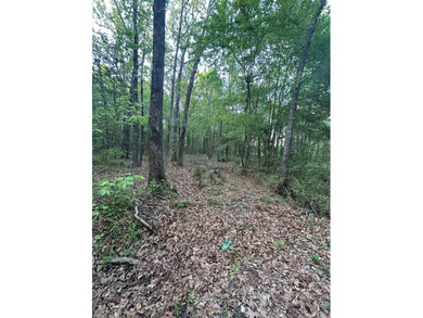 Located within the city limits of Cove, this 7.5+/- acre tract - photo 11