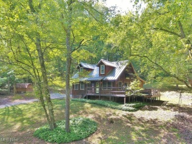 Lake Home For Sale in Dellroy, Ohio