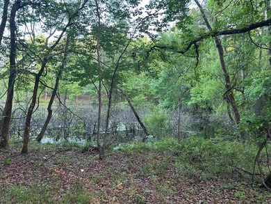 Located within the city limits of Cove, this 7.5+/- acre tract - photo 13
