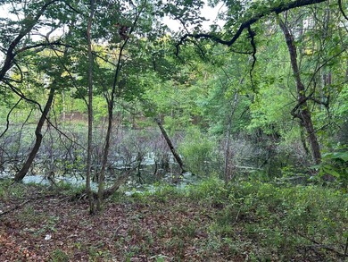 Located within the city limits of Cove, this 7.5+/- acre tract - photo 14