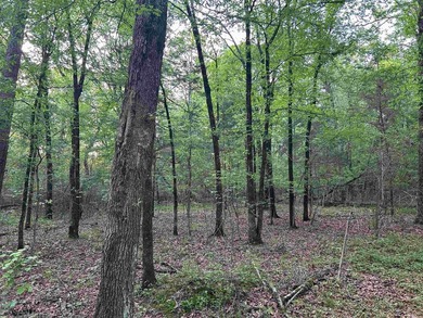 Located within the city limits of Cove, this 7.5+/- acre tract - photo 15