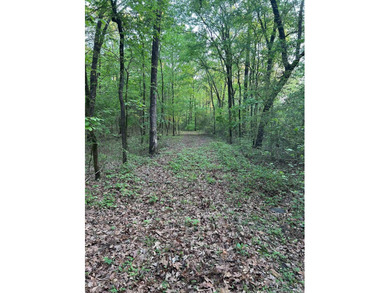 Located within the city limits of Cove, this 7.5+/- acre tract - photo 17