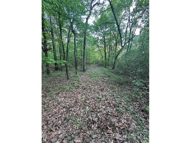 Located within the city limits of Cove, this 7.5+/- acre tract - photo 18