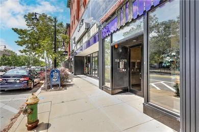 Live above the vibe of the West Side, a block from Downtown - photo 34