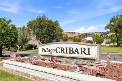 Bright, updated 1,240 sq ft end-unit condo in Cribari Village at - photo 41