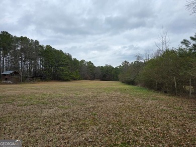 (private lake, pond, creek) Acreage For Sale in Loganville Georgia