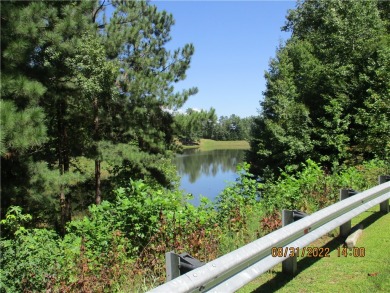 (private lake, pond, creek) Lot For Sale in Salem South Carolina