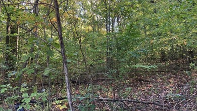 Check out this wooded lot set a few short miles from public - photo 3