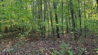 Check out this wooded lot set a few short miles from public - photo 4