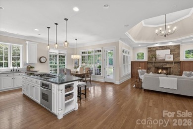 Beautiful custom home on premium golf course lot in popular - photo 11