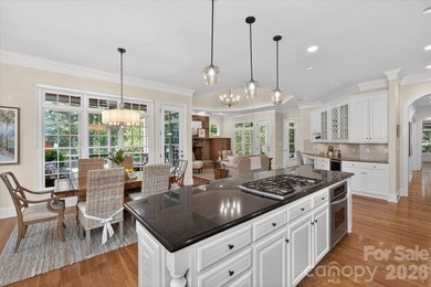 Beautiful custom home on premium golf course lot in popular - photo 16