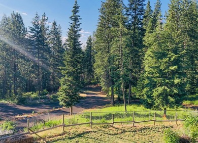 Bordering BLM land that fronts onto National Forest with direct - photo 3